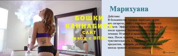 гашиш Богданович