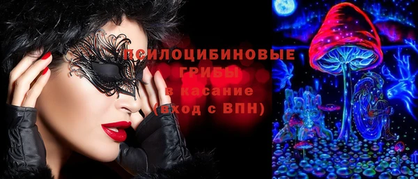 шишки Гусиноозёрск
