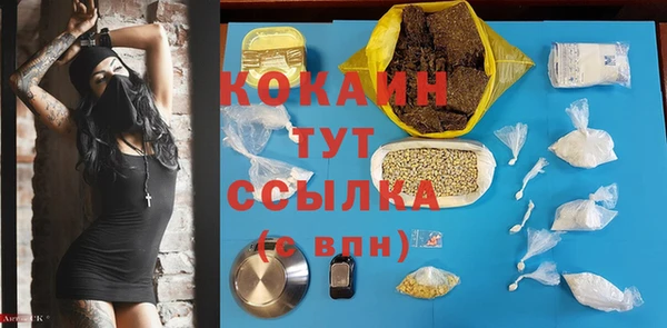 СК Бородино