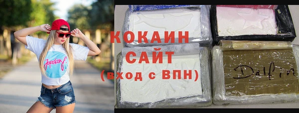 кокс Богородицк
