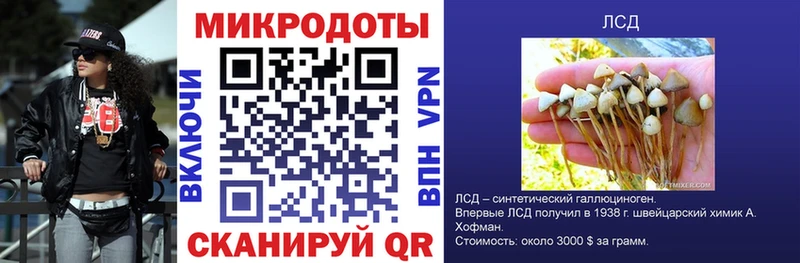 Галлюциногенные грибы прущие грибы блэк спрут tor Демидов