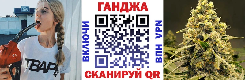 Конопля гибрид  Демидов 